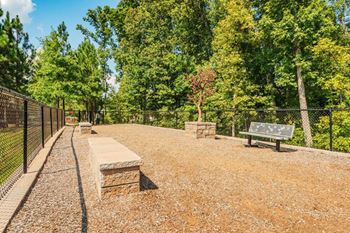 Dog park